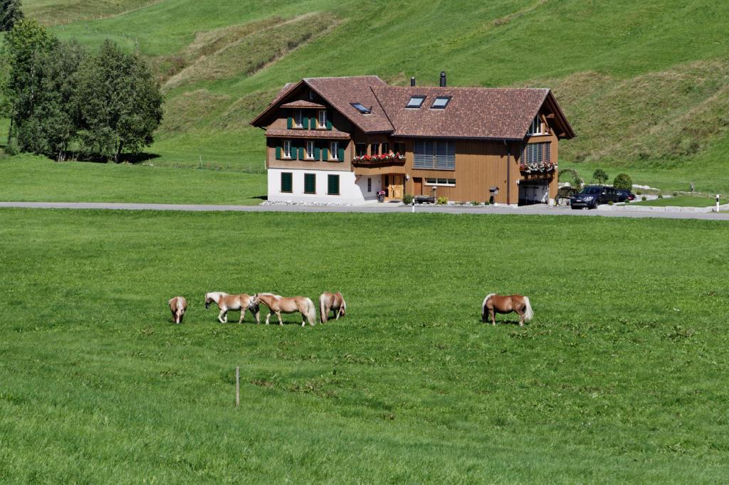 Haflingerhof Fruhboden Villa Egg Eksteriør bilde