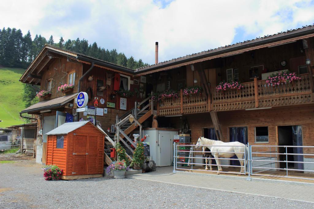 Haflingerhof Fruhboden Villa Egg Eksteriør bilde